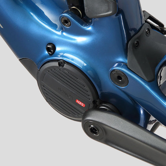 avinox m2s motor for teewing turbo xt mtb