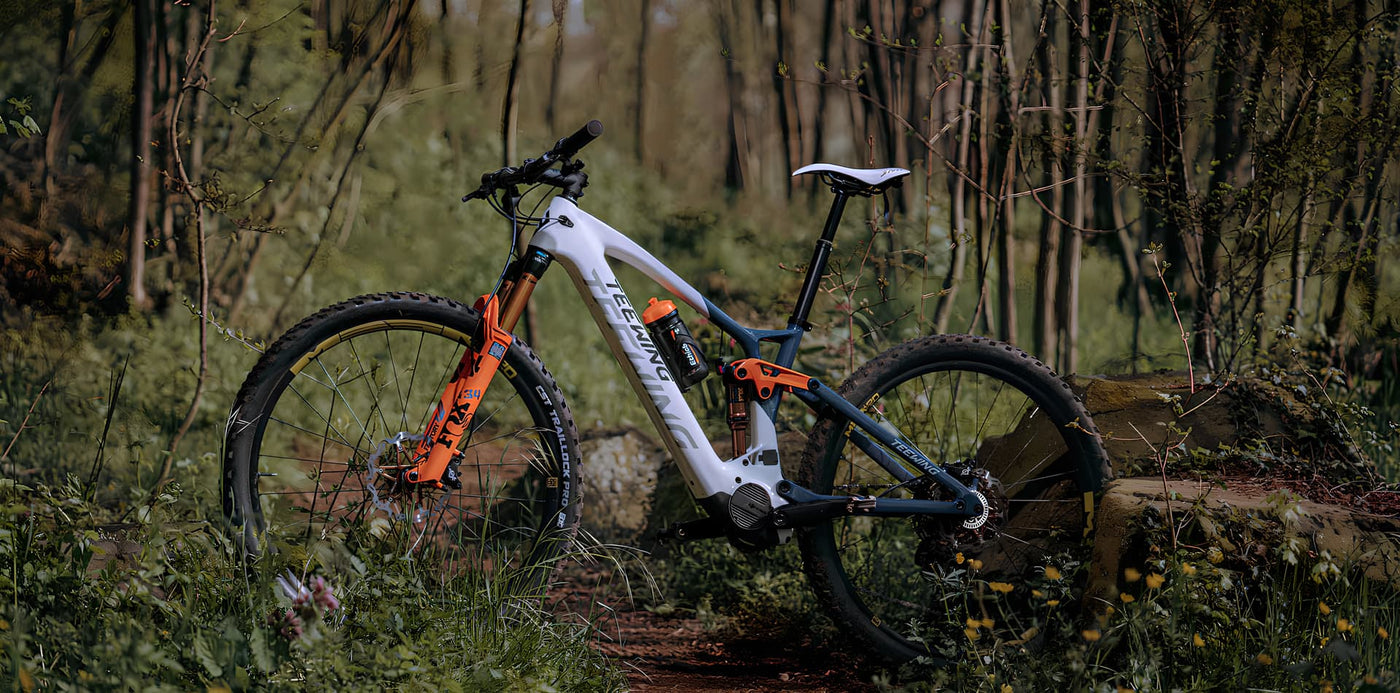 Teewing Electric mountain bike brand