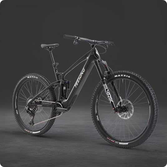 Teewing Turbo Force XT electric moutain bikes