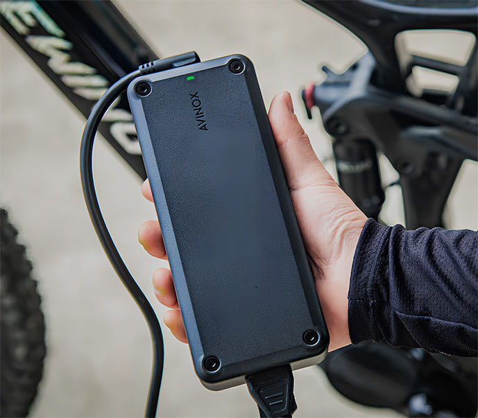 12Ah_Fast_Charger_of_Teewing_Turbo_Force_Electric_bikes