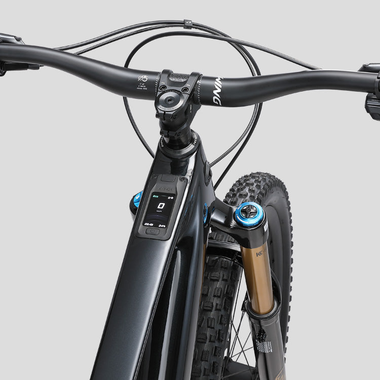 Teewing_Flux_one_Pro_Ebikes_Avinox_touch_Screen