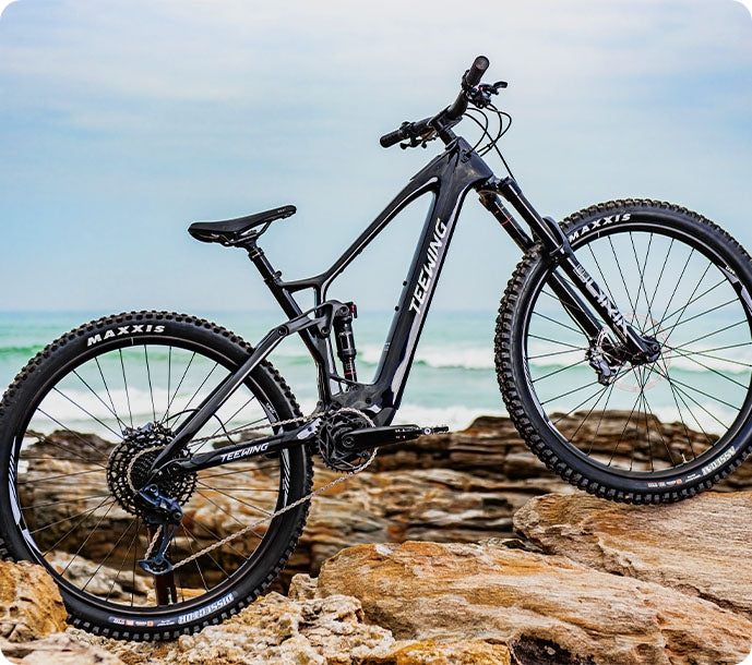 Teewing Turbo Force Electric Mountain bike outdoor riding 02