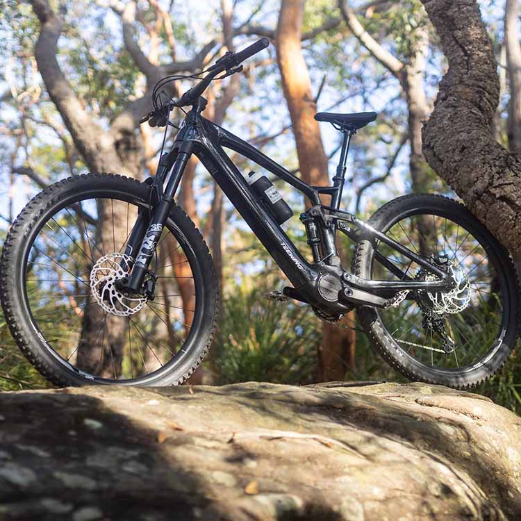 fully mtb e-bike Teewing Turbo Force Pro – Carbon All-Mountain eMTB, M2S Drive System – Teewing Bikes