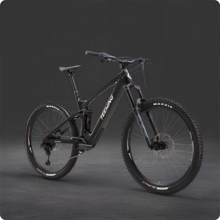 https://teewingbikes.com/cdn/shop/files/upscayl_1x_high-fidelity-4x_440388da-a441-45f6-9744-d94bc95aab09.jpg?v=1748855979&width=837